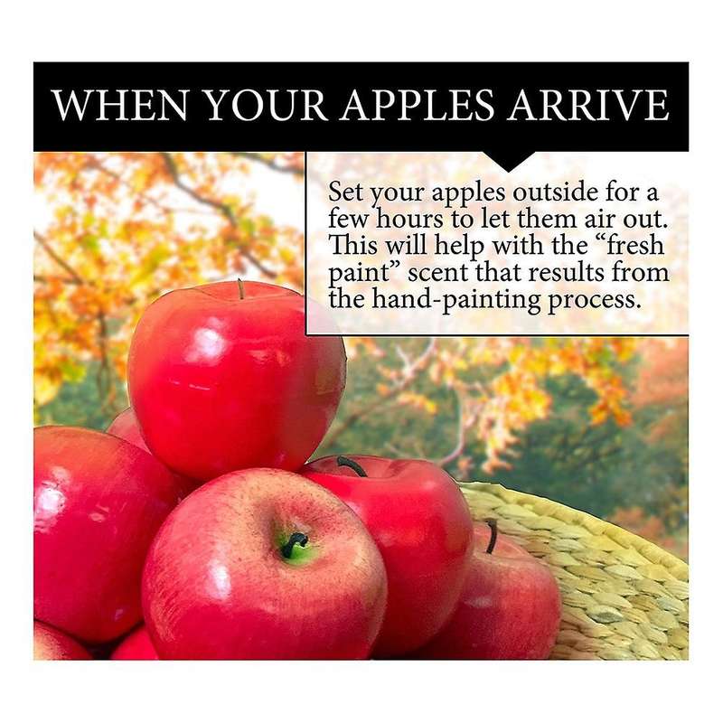 Realistic Apples 13 Pcs - Fruits,decorative Fruit for Decoration (red)