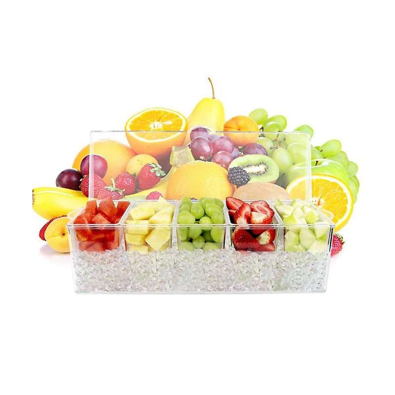 Refrigerated Condiment Plate Picnic -keeping Ice Box -grid Split Fruit Plate Seasoning Plate