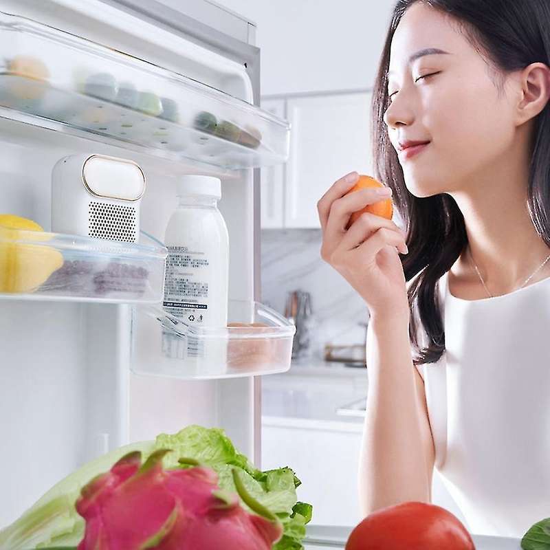 Refrigerator Deodorizing Sterilizer Household Kitchen Ozone Generator Air Purifier Keeping Rechargea