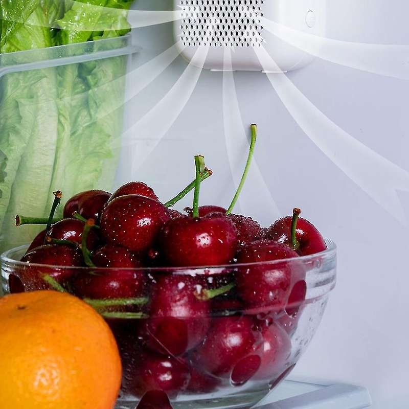Refrigerator Deodorizing Sterilizer Household Kitchen Ozone Generator Air Purifier Keeping Rechargea