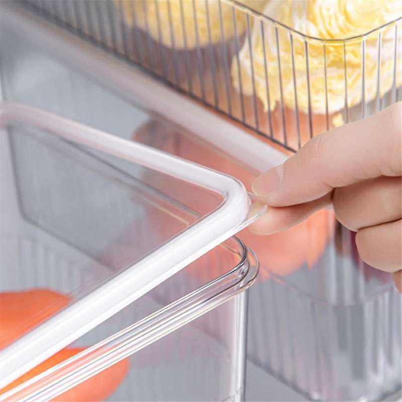 Regular Fresh-Keeping Refrigerator Storage Box Vegetable and Fruit Food Storage Container Pantry Kit