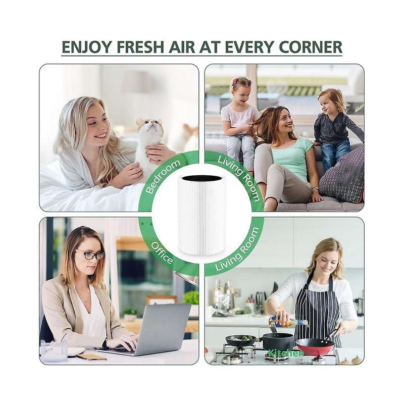 Replacement Filter for Blue Pure 411, Fits Blue Pure 411, 411 Auto, 411+ Air Purifiers Activated Car