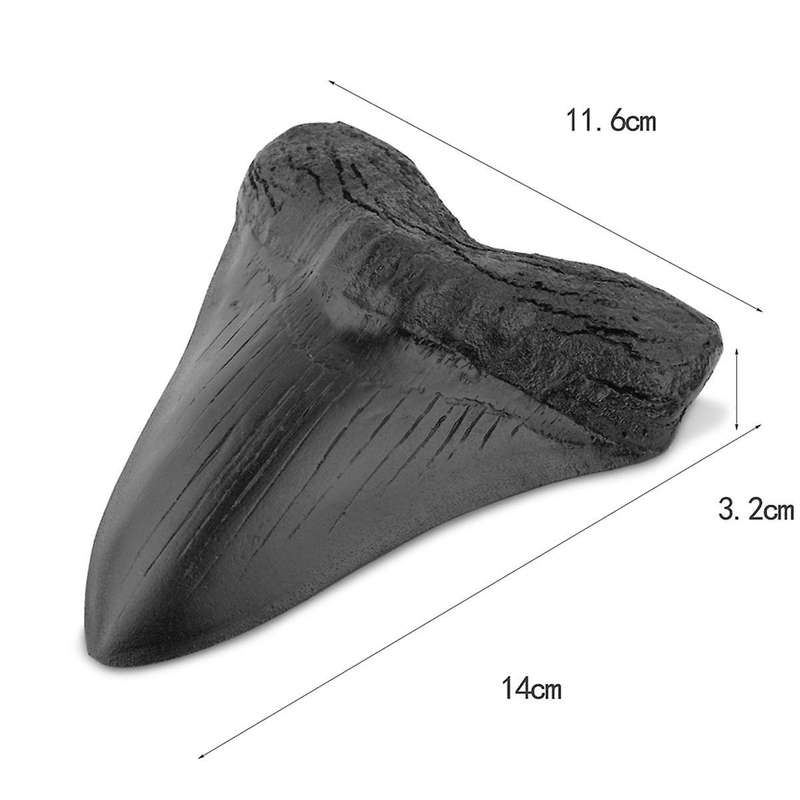 Resin Megalodon Tooth Fossil Giant Tooth Megalodon Tooth Replica,Carcharodon Megalodon Giant Tooth F