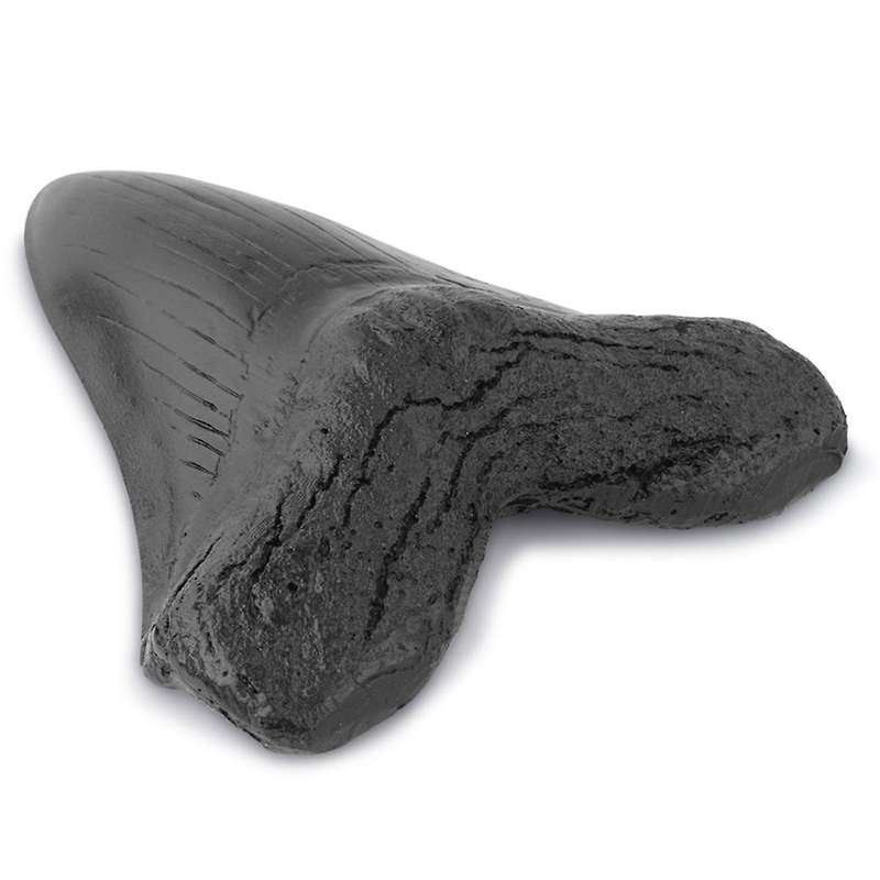 Resin Megalodon Tooth Fossil Giant Tooth Megalodon Tooth Replica,Carcharodon Megalodon Giant Tooth F