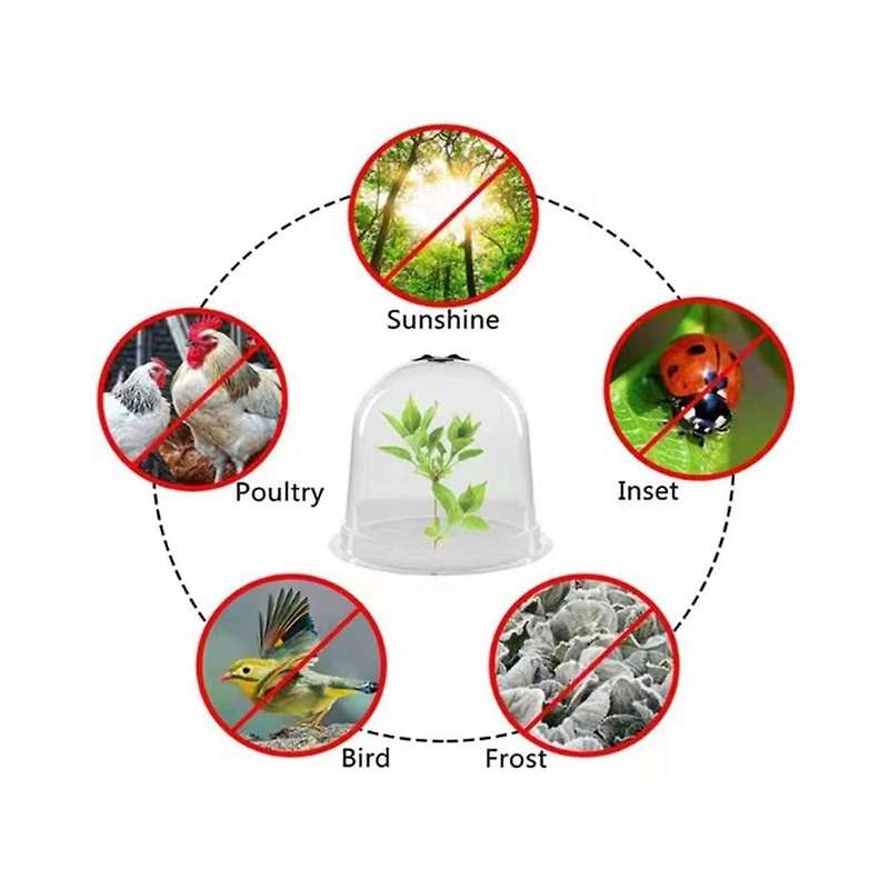 Reusable Garden Plant Cloche, Plant Dome Bell Cover Plastic Mini Greenhouse for Warming Garden Soil