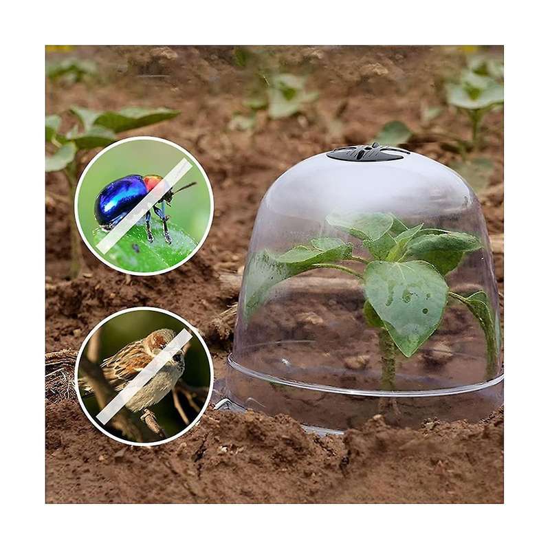 Reusable Garden Plant Cloche, Plant Dome Bell Cover Plastic Mini Greenhouse for Warming Garden Soil