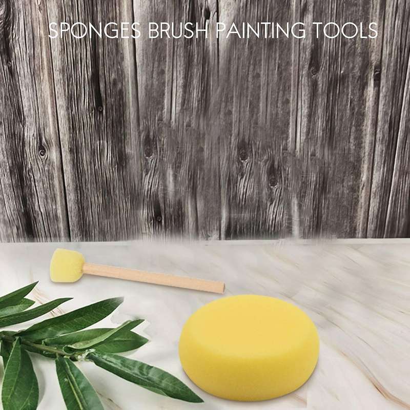 Round Paint Foam Sponge Brush Various Shaped and Sized, Watercolor Sponges for Painting, Craft