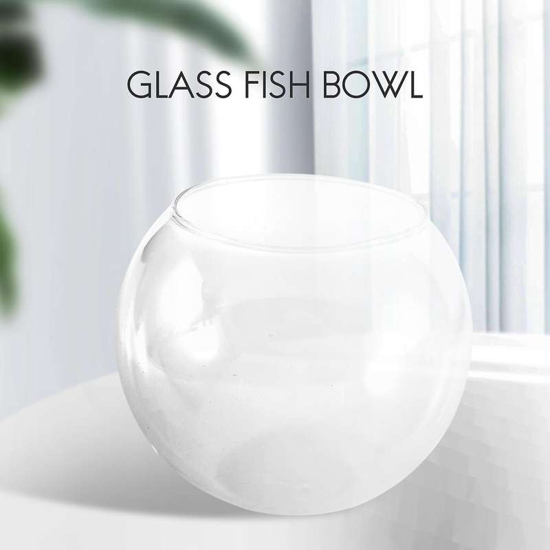 Round Sphere Vase In Transparent Glass Fish Tank