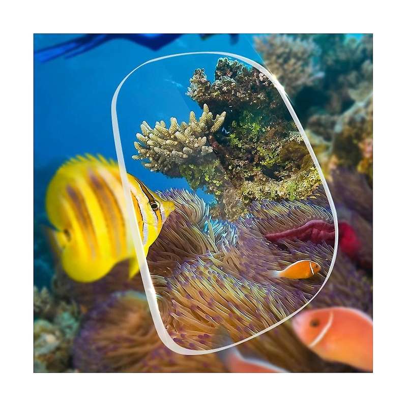 Scuba Diving Mask Adjustable Adult Snorkeling Mask Swimming Glasses Professional Diving Equipment