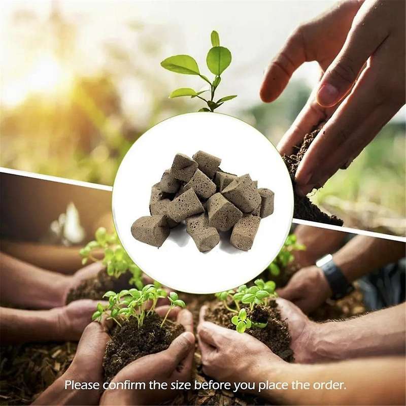 Seed Starting Sponge for Quick Germination, Root Growing Sponge, Quick Root Stopper for Vegetables,S