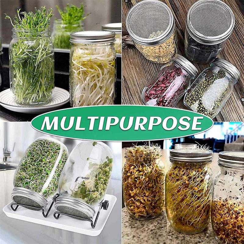 Seed Sprouting Jar Kit with 2 Wide Mouth Jars Bean Sprouts Growing Kit Growing Jar with Mesh Screen