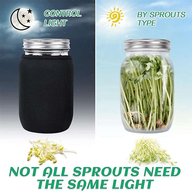 Seed Sprouting Jar Kit with 2 Wide Mouth Jars Bean Sprouts Growing Kit Growing Jar with Mesh Screen