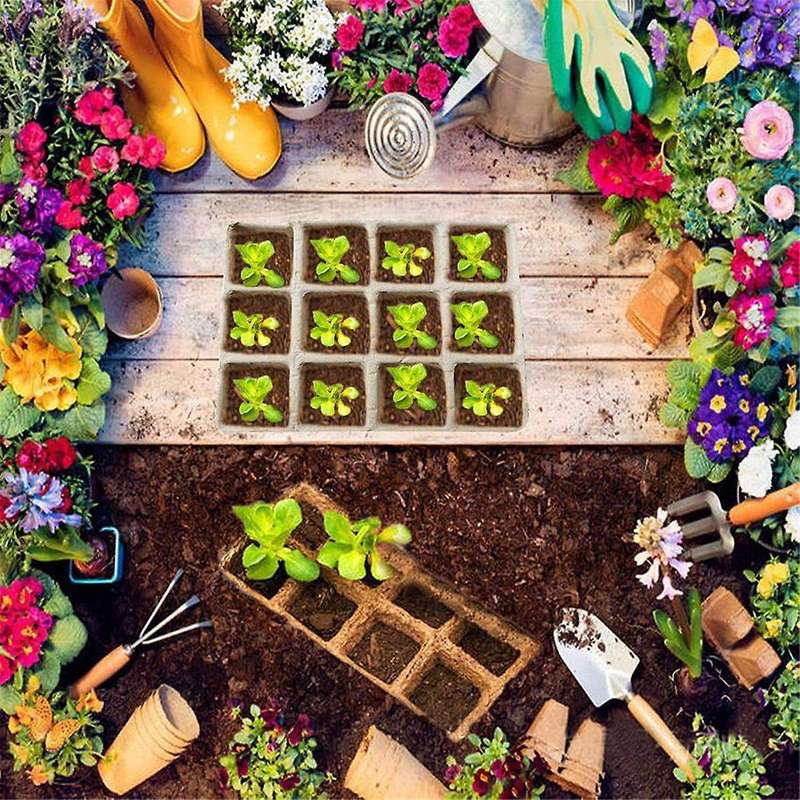 Seed Tray, Peat Pots for Seedlings Seed Kit,Biodegradable Seed Pots Germination
