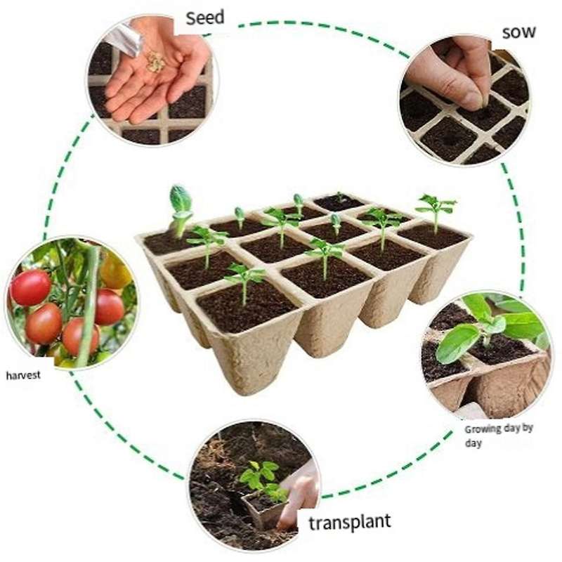 Seed Tray, Peat Pots for Seedlings Seed Kit,Biodegradable Seed Pots Germination