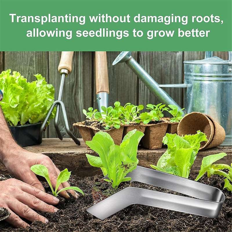 Seedling Transplant Tongs-8.7 Inch Stainless Steel Gardening Plants Transplant Tongs for Reducing Ro