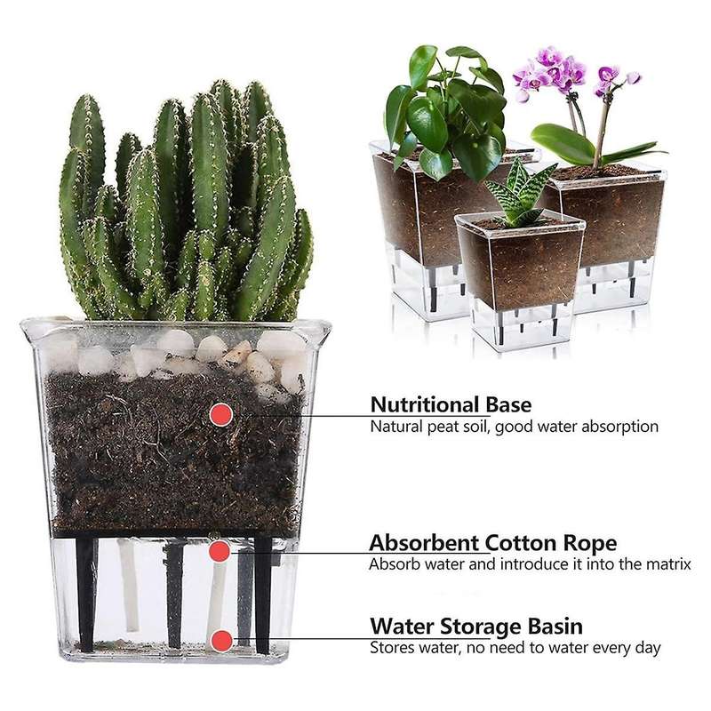 Self Watering Pots Set, 3 Pack 5 Inch Self Watering Pots for Indoor Plants, Clear Planter Pot with D