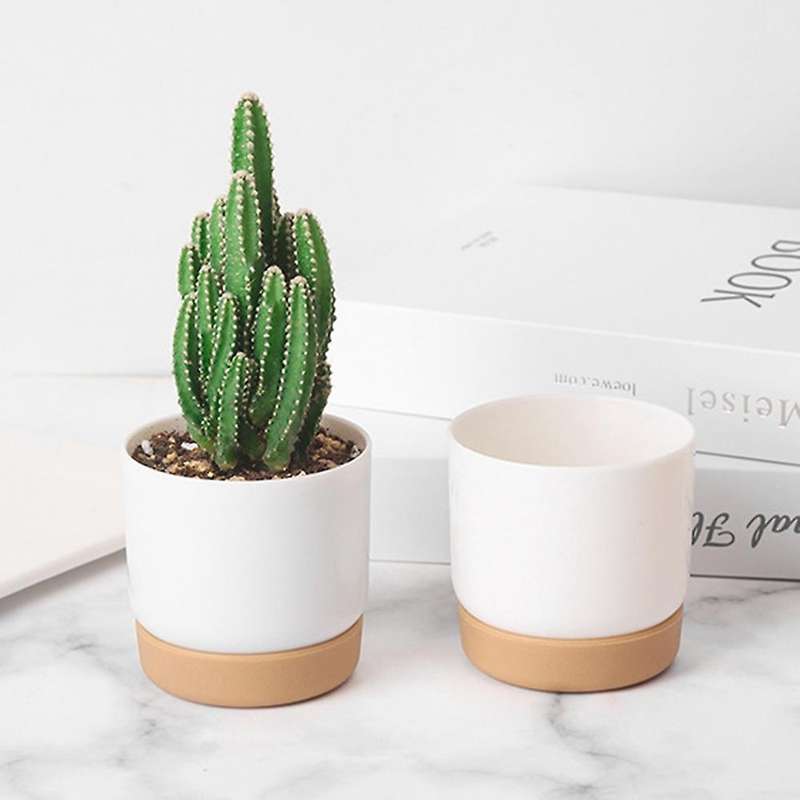 Self Watering Plant Pot Double Layer Plant Flowerpot Gardening Flower Pots Imitation Ceramic Greener