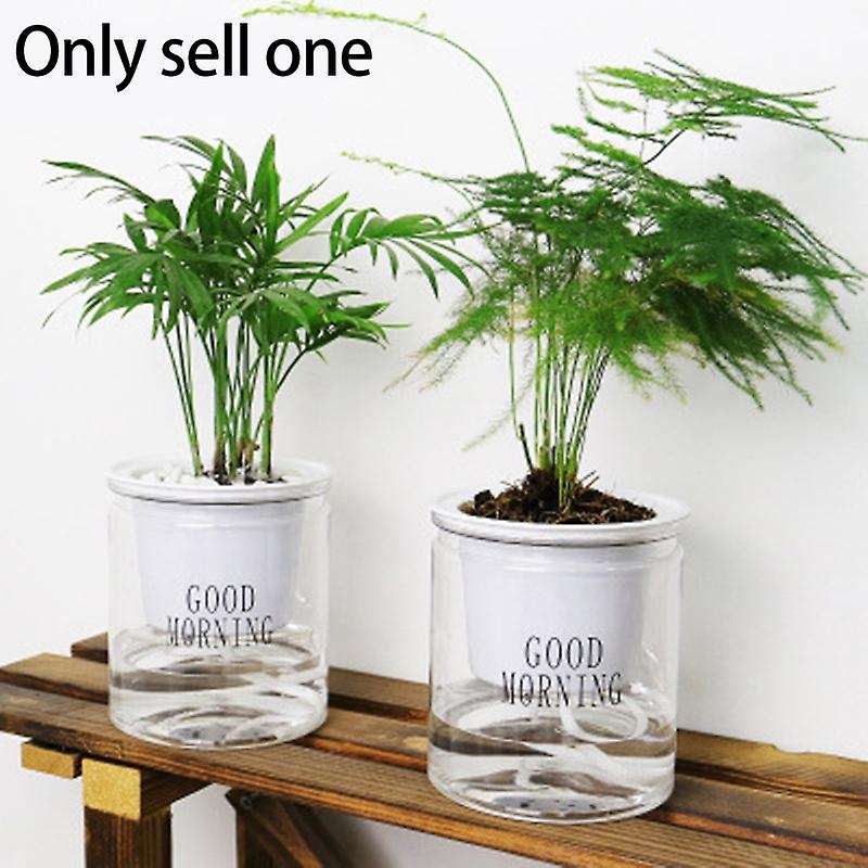 Self-watering Flowerpot Automatic Water Absorption Succulent Aquaculture Transparent Round Plastic