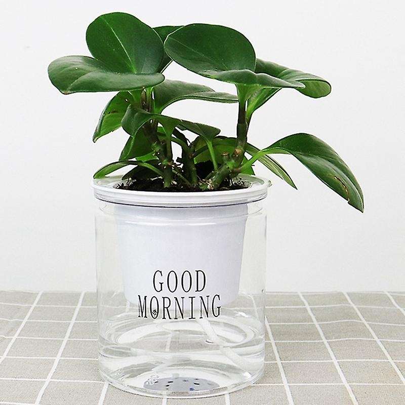 Self-watering Flowerpot Automatic Water Absorption Succulent Aquaculture Transparent Round Plastic
