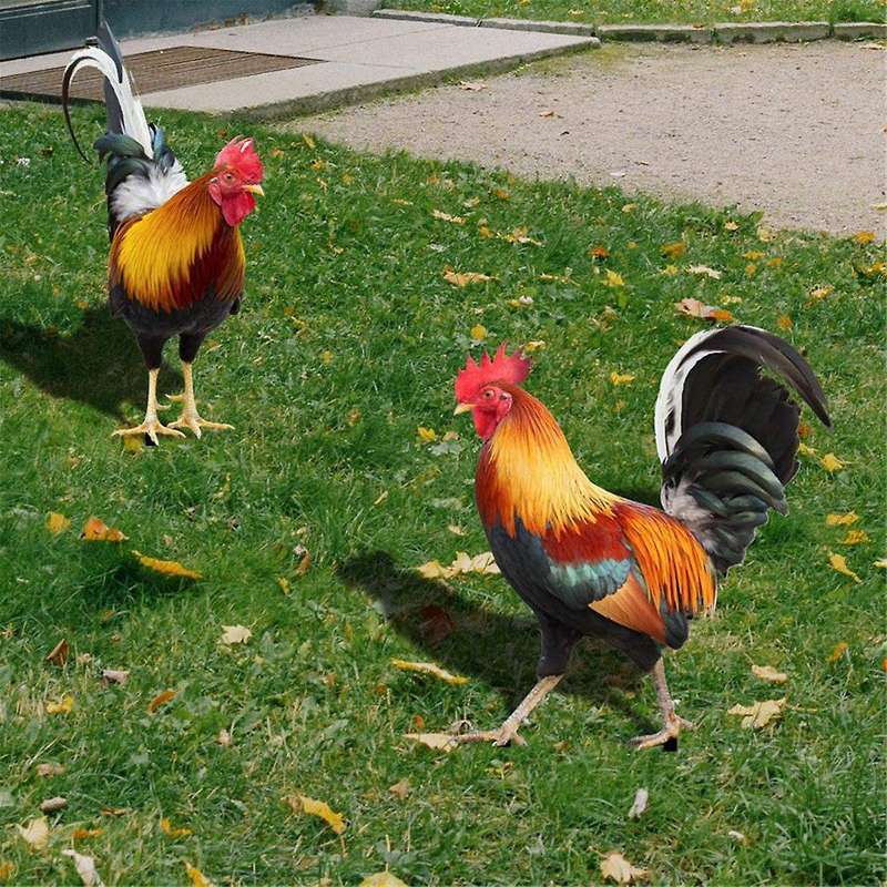 Set Of 2 Acrylic Rooster Statues, Outdoor Garden Statues, Chicken Decor, Garden Sculptures & Statue