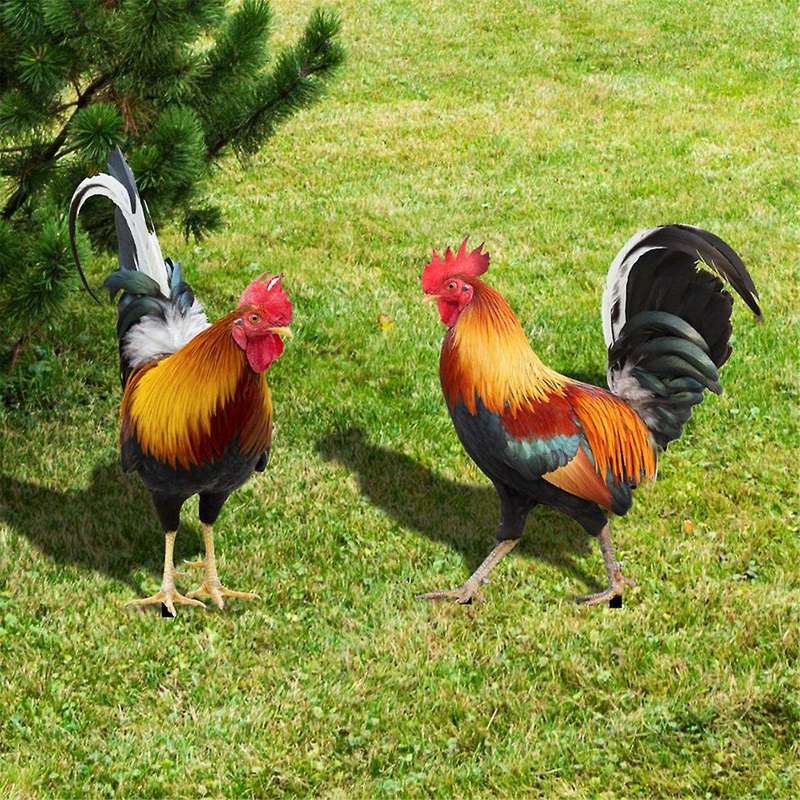 Set Of 2 Acrylic Rooster Statues, Outdoor Garden Statues, Chicken Decor, Garden Sculptures & Statue