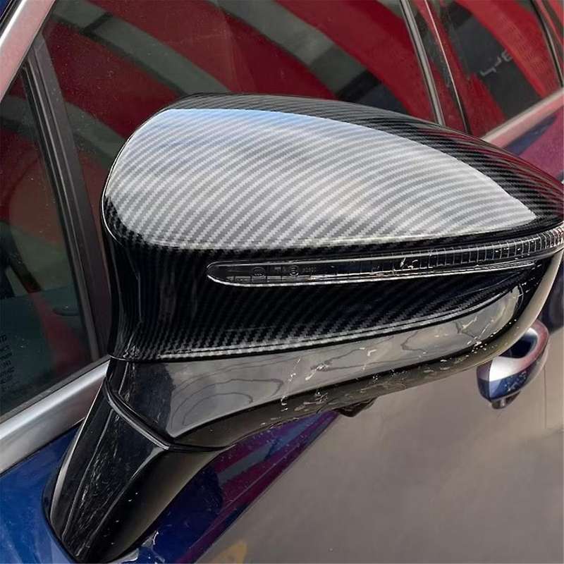 Side Door Mirror Cap Rearview Mirror Cover Trim Protective Decoration Carbon Fiber Look for TANG