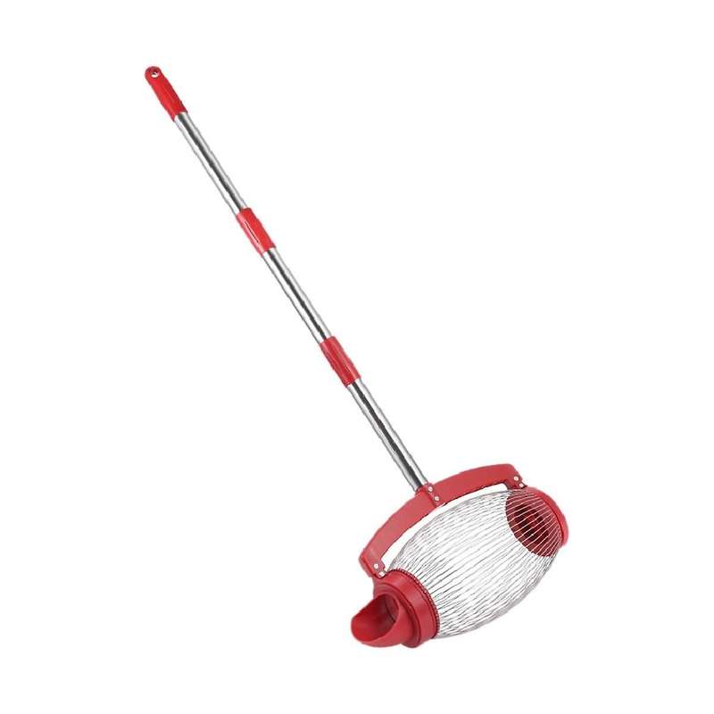 Side Down Nut Collector Fruit Picker Picking Walnut Chestnut Golf Garden Tools for Acorns Hickory N
