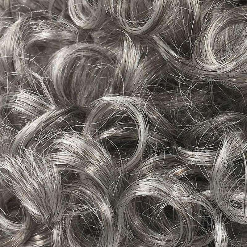 Silver Adult Momma Lady Costume Wig Granny