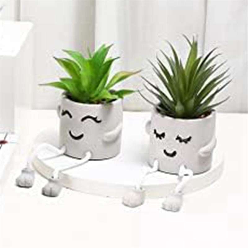 Simulation Succulent Plants - Artificial Potted -succulent Plants (2piece) - Interesting Plant Bonsa