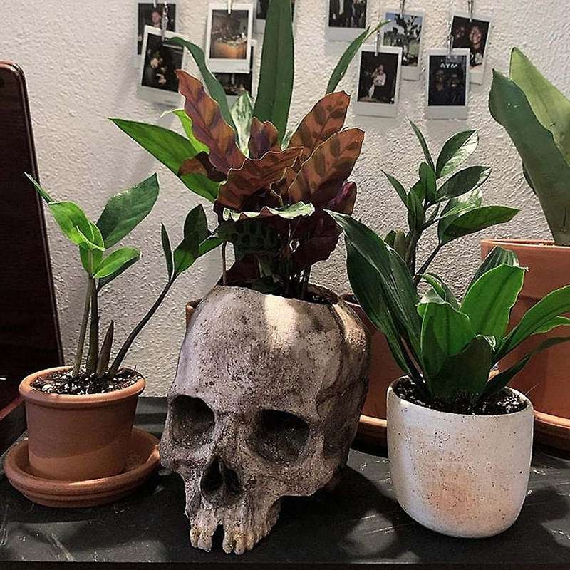Skull Flower Pot Indoor and Outdoor Resin Flower Pot Halloween Party Human Skull Flower Pot Containe
