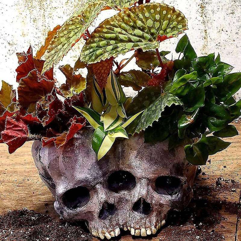 Skull Flower Pot Indoor and Outdoor Resin Flower Pot Halloween Party Human Skull Flower Pot Containe