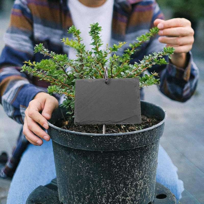 Slate Plant Labels Garden Plant Markers Herb Labels Greenhouse Accessories Garden Stakes, 15PCS