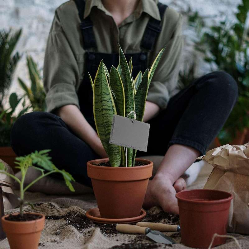 Slate Plant Labels Garden Plant Markers Herb Labels Greenhouse Accessories Garden Stakes, 15PCS