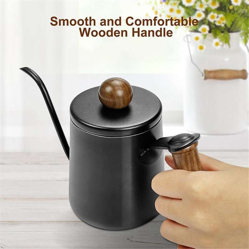Small Watering Can for Indoor Plants, Metal Watering Can with Long Spout, Lid and Handle 12 Oz/350 M