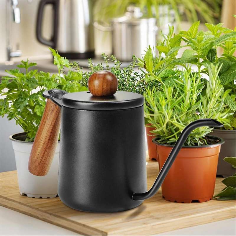 Small Watering Can for Indoor Plants, Metal Watering Can with Long Spout, Lid and Handle 12 Oz/350 M