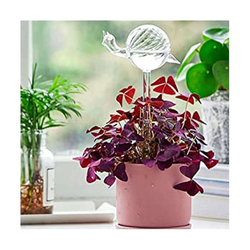 Snail Shape Glass Plant Flower Water Feeder Automatic Watering Automatic Drip Irrigation Device