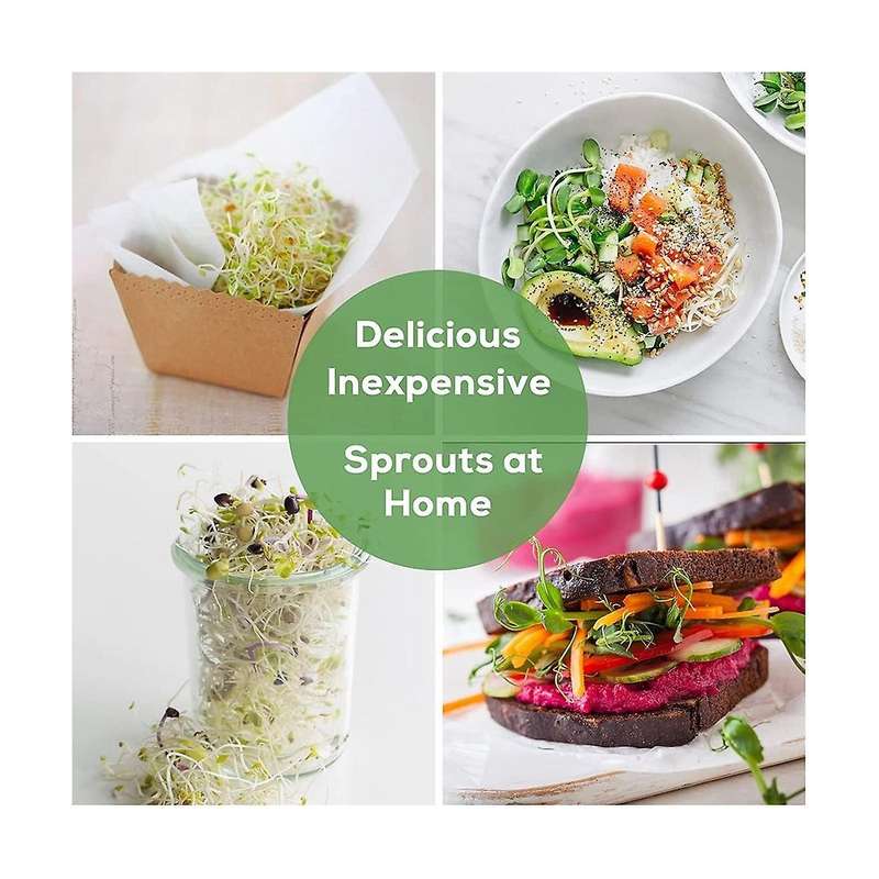 Sprouting Lids, Plastic Sprout Lid with Stainless Steel Screen for Wide Mouth Jars, Germination Kit