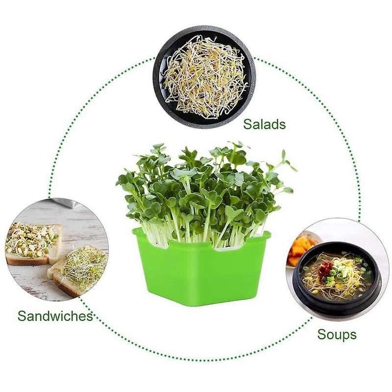 Sprouting Seeds Tray Portable Capacity Sprouter, Perfect for Small to Medium Seeds,green