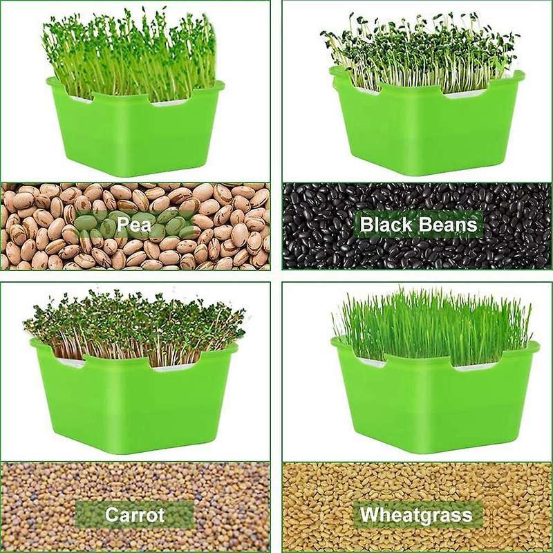 Sprouting Seeds Tray Portable Capacity Sprouter, Perfect for Small to Medium Seeds,green