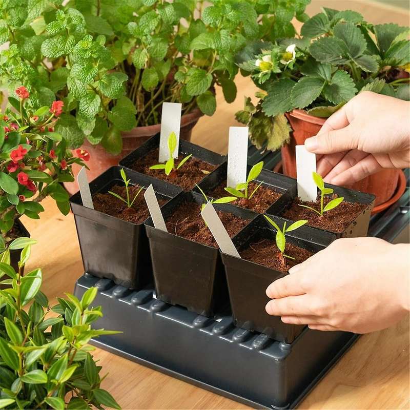 Square Seedling Pots Flexible Plastic Seedling Pots are for Plants and Succulents in Square Pots(100