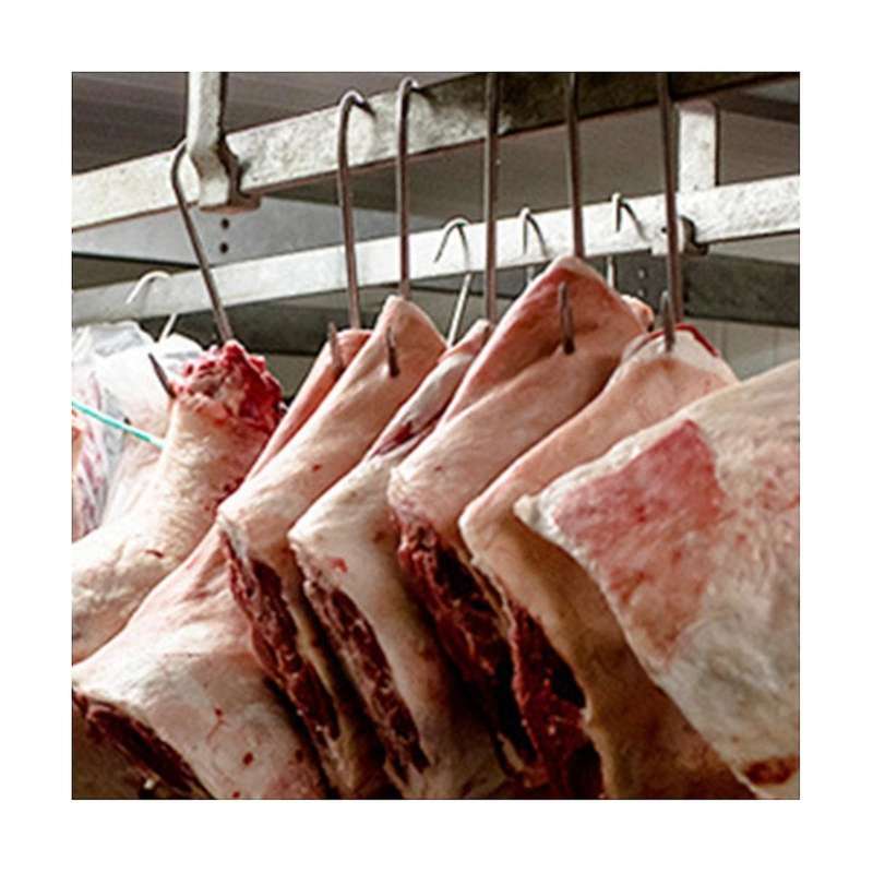 Stainless Steel Hooks,meat Hook Tool for Hot and Cold Smoking Butchering Hunting Chicken Bbq Pork S