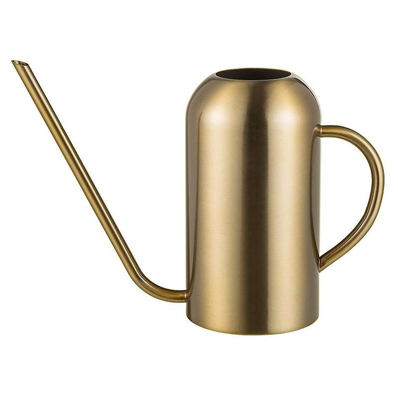 Stainless Steel Watering Can for Indoor Plants and Garden, Watering Pot 53Oz,Long Spout Watering Can