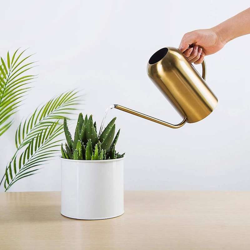 Stainless Steel Watering Can for Indoor Plants and Garden, Watering Pot 53Oz,Long Spout Watering Can