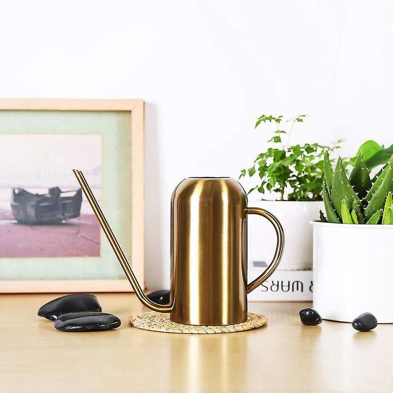 Stainless Steel Watering Can for Indoor Plants and Garden, Watering Pot 53Oz,Long Spout Watering Can