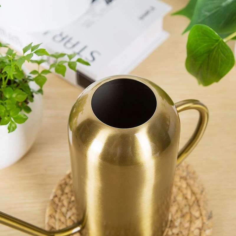 Stainless Steel Watering Can for Indoor Plants and Garden, Watering Pot 53Oz,Long Spout Watering Can