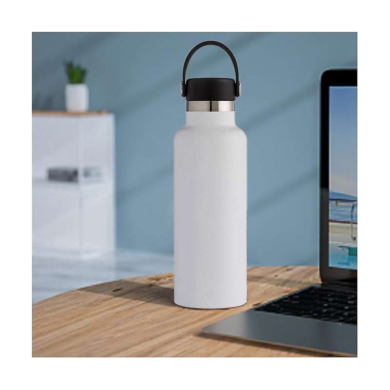 Stainless Steel Vacuum , Hot & Cold Beverage 600ml Portable Insulated Kettle, Suit , Gift, Outdoor