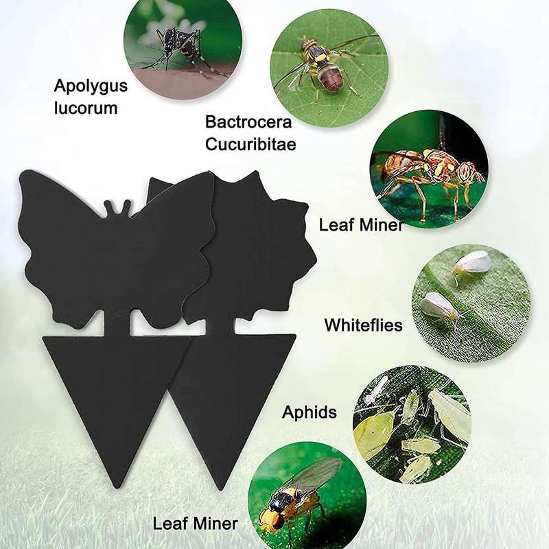 Sticky Fly Trap Mosquitos Gnats Other Flying Insects Kitchen Indoor and Outdoor Protect the Plant