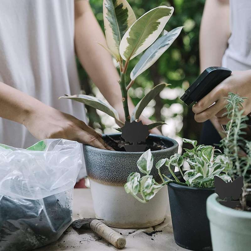 Sticky Fly Trap Mosquitos Gnats Other Flying Insects Kitchen Indoor and Outdoor Protect the Plant