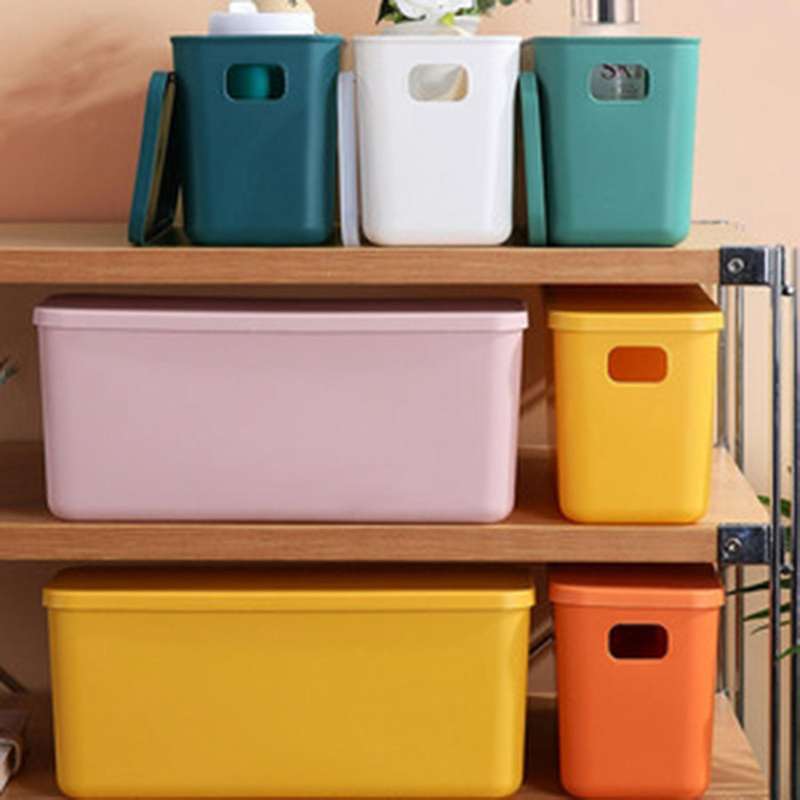 Storage Box with Lid, Underwear, Toy Tie, Socks, Snacks, Household Plastic Cosmetics, Office, Bathro