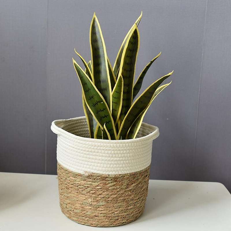 Straw Cotton Rope Woven Storage Basket Simple Plant Pot Woven Flower Pot Home Indoor Decoration Flow